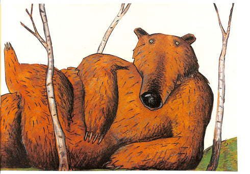 L'orso è un miracolo